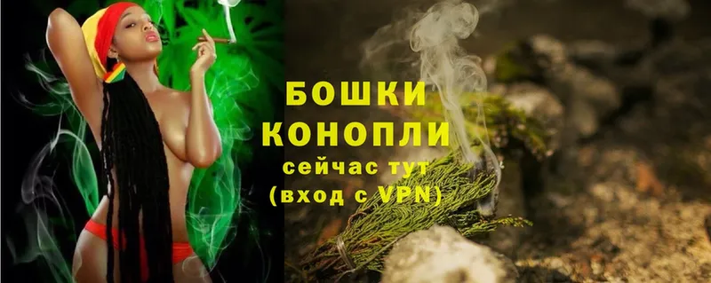 Шишки марихуана Bruce Banner  Вытегра 